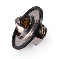 ترموستات 89 درجه با درب و اورينگ پژو 206